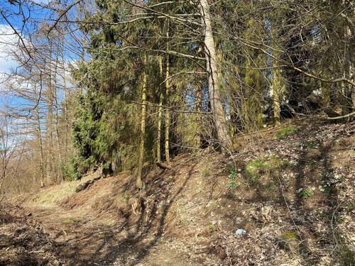 Ansicht des Grundstücks mit Zuwegung - Grundstück in Bad Berleburg