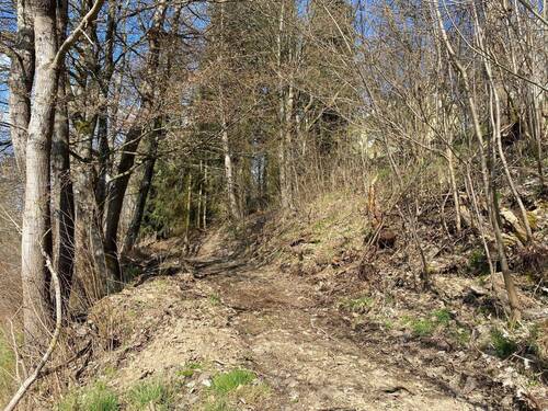 Zuwegung - Grundstück in Bad Berleburg zum Kaufen