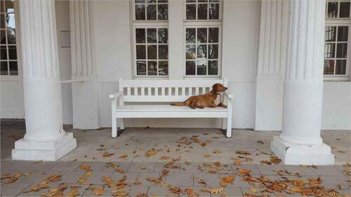 Beispielfoto - Provisionsfrei: Halle, Lager, Büro in A1-Nähe zum Superpreis!