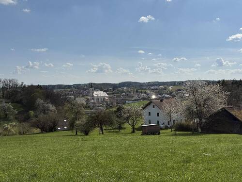 Blick auf das Anwesen - 