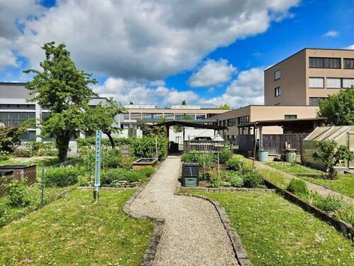Gartenimpressionen - 