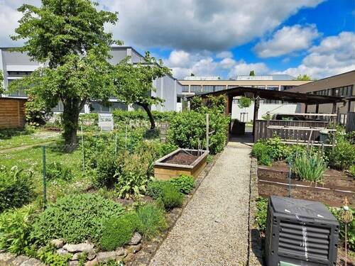 Gartenimpressionen - 