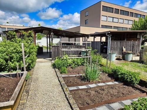 Gartenimpressionen - 
