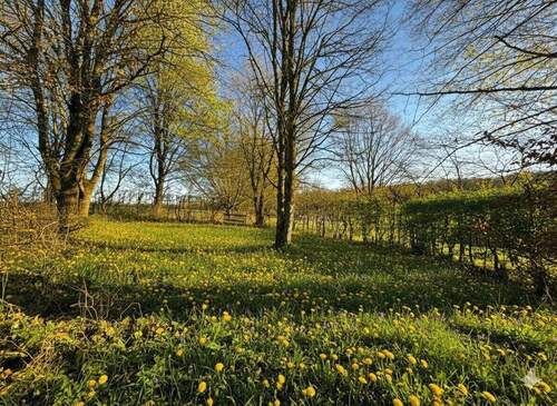 Ansicht - Grundstück in Nattheim zum Kaufen