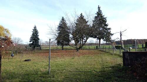 Garten und hintere Zufahrt - 