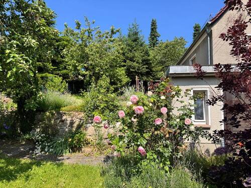 Garten - 