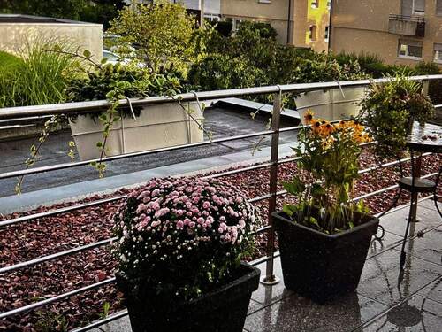 Südostbalkon - 3 Zimmer Etagenwohnung zur Miete in Weinstadt