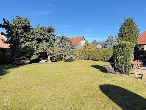 Garten - 4 Zimmer Einfamilienhaus in Potsdam