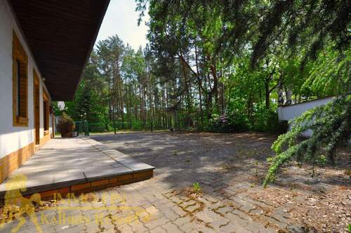 Terrasse oder Parkplatz (Süd) - 