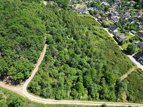 Ansicht vom Grundstück - Wald bei Reichshof-Oberagger – ca. 15.000 m² Mischwald