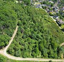 Wald bei Reichshof-Oberagger – ca. 15.000 m² Mischwald