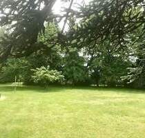 SCHÖNER BAUPLATZ inklusive genehmigter Bauvoranfrage für ein Apartmenthaus mit 10 WE. - Hiddenhausen