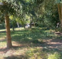 Großzügiges Baugrundstück in Toplage von Rangsdorf - direkt am Naturschutzgebiet