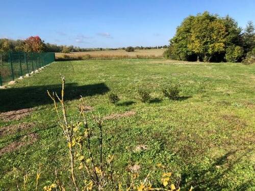 hinterer Grundstücksbereich - 