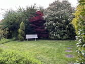 Garten - 