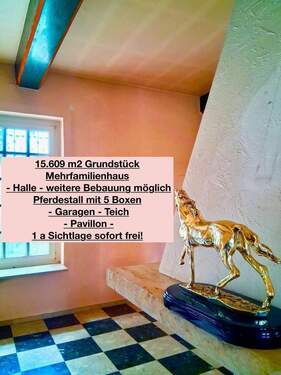 Ausnahmeobjekt - sofort ALLES frei! - 