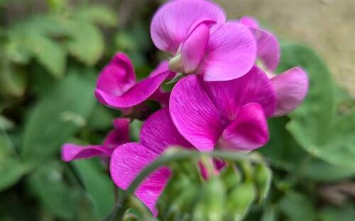 Edelwicke - 2 - Zimmer - Eigentumswohnung mit Balkon in der KTV