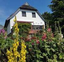 Inselfeeling pur - idyllisches Reetdachhaus mit 2 zusätzlichen Ferienwohnungen, Sauna & Nebengelass zwischen Bodden & Ostsee - Insel Hiddensee / Kloster Kloster, Hiddensee