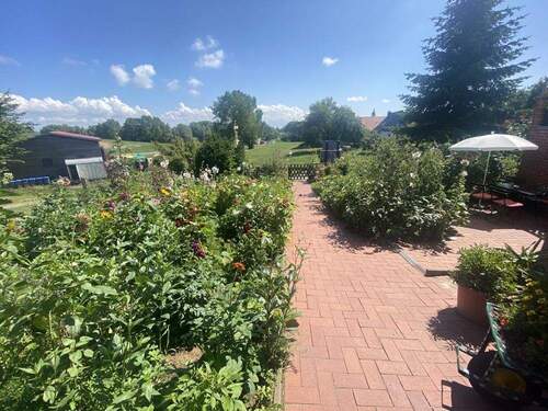 Garten vor dem haus - 