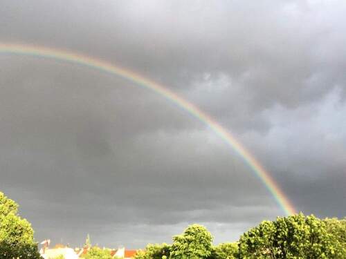 Aussicht nach Regen - 