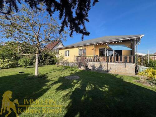 SW-Ansicht - Garten - Bungalow mit 120,00 m&sup2; in Weißwasser zum Kaufen