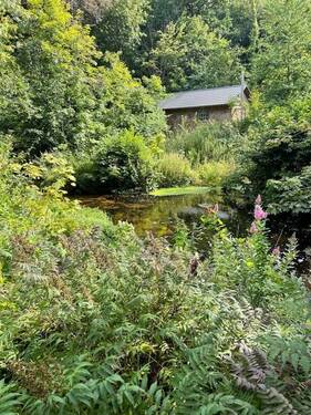Ausblick vom Balkon - 