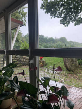 Aussicht Rückseite der Mühle - 