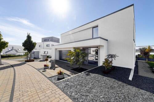 Frontansicht - 