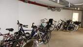 Fahrradkeller - 
