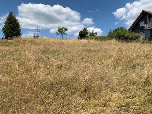 Straßenansicht - Grundstück in Erndtebrück