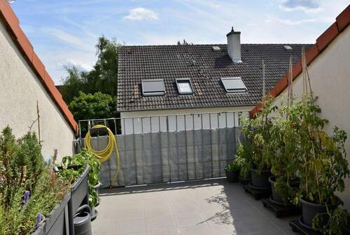 Dachterrasse - 