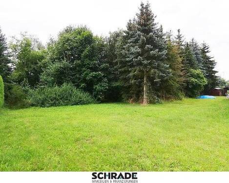 ...bereits schön abgeschirmt - Grundstück zum Kaufen in Osterburg (Altmark)