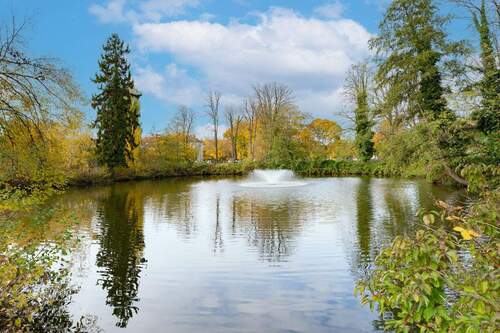 Teich - 