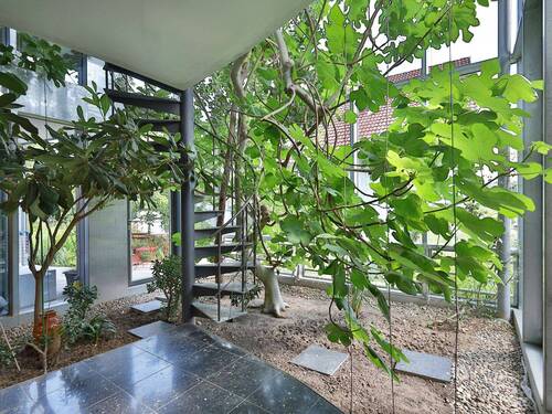 Untere Terrasse im Wintergarten - 