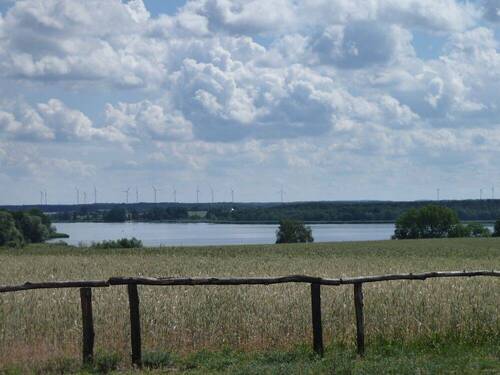 Umgebung Schwielochsee - 