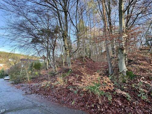 Außenansicht - KL - Erlenbach: Schönes Baugrundstück in Ortsrandlage