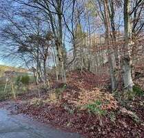 KL - Erlenbach: Schönes Baugrundstück in Ortsrandlage - Kaiserslautern