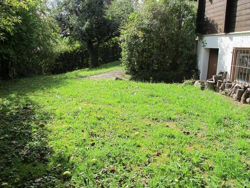 Freie Fläche zum Grillen, Spielen, Sonnen .....JPG - 