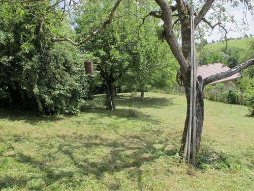 Garten mit altem Bestand.JPG - 