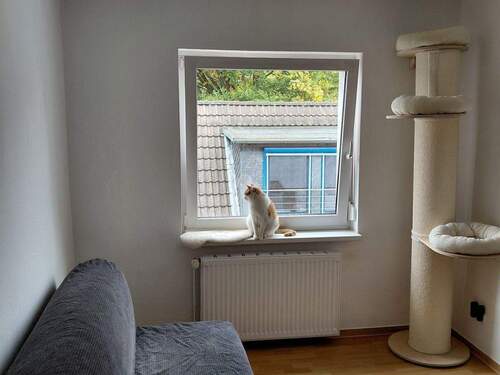 DH: Zimmer 3-ZWG.jpg - 