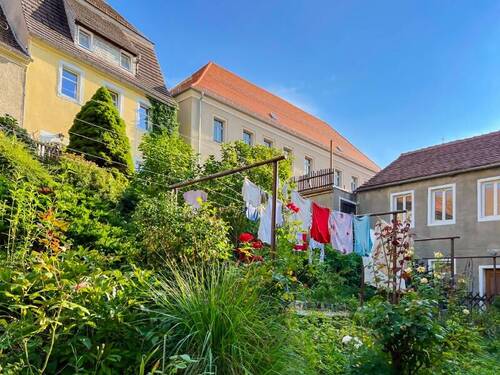 Im Garten auf Süd (3) - 