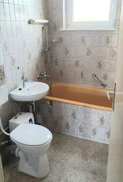 PHOTO-2026-03-03-20-47-13.jpg - 