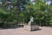 Kollwitzplatz im Sommer - 