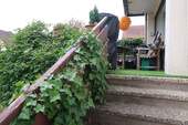 Terrasse EG - 