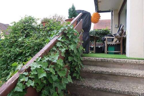 Terrasse EG - 
