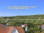 herrlicher Blick auf die Weinberge ... - Aktuelles Spätsommer-Angebot ! - 2 schicke Tiny-Häuschen mit Garten ...