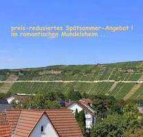 Aktuelles Spätsommer-Angebot ! - 2 schicke Tiny-Häuschen mit Garten ... - Mundelsheim