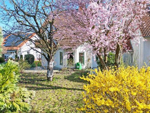 Gartenblick - 