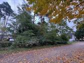 Straßenansicht - Provisionsfrei vom Eigentümer-Traumhaftes Baugrundstück, naturbelassen in ruhiger Lage von Rehfelde!