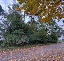 Provisionsfrei vom Eigentümer-Traumhaftes Baugrundstück, naturbelassen in ruhiger Lage von Rehfelde!